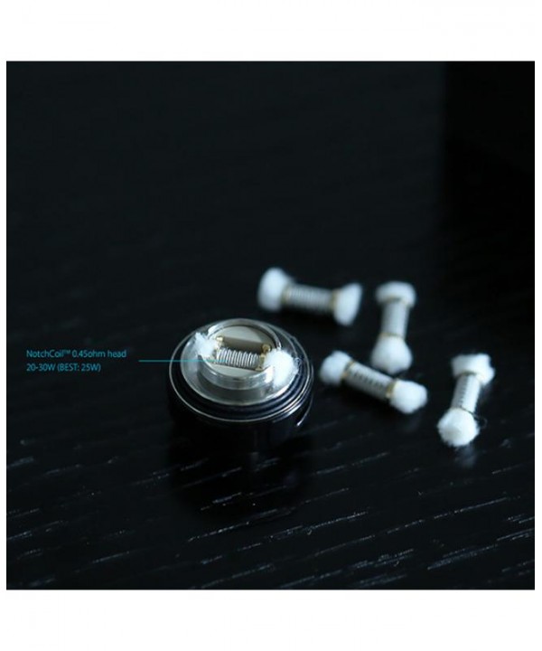 Joyetech Notchcoil 0.45ohm Coil Heads