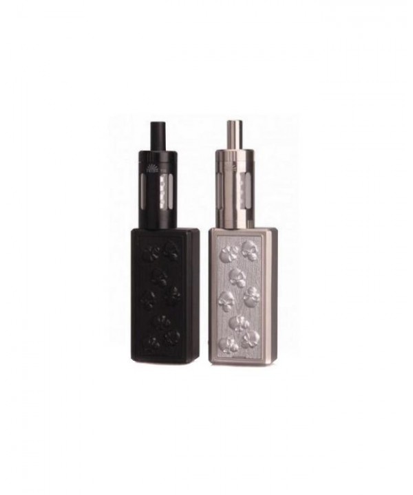 Innokin iTaste SD20 Vape Kit With Evolv DNA Chip